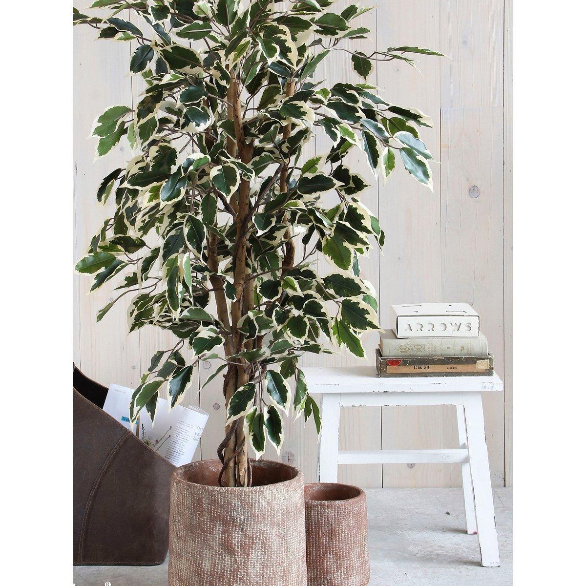 Künstliche Ficus-Pflanze – H110 x Ø70 cm – grün bunt - HomeDesign Knaus