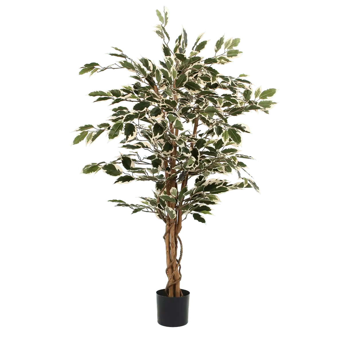 Künstliche Ficus-Pflanze – H110 x Ø70 cm – grün bunt - HomeDesign Knaus