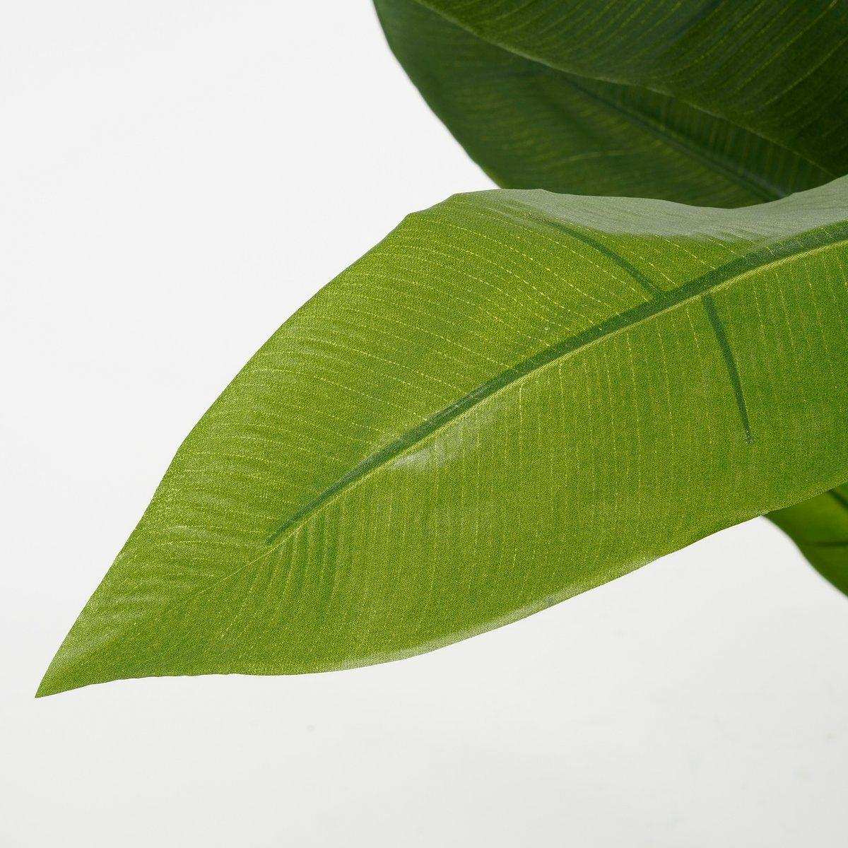 Künstliche Heliconia-Pflanze – H175 x Ø140 cm – Grün - HomeDesign Knaus