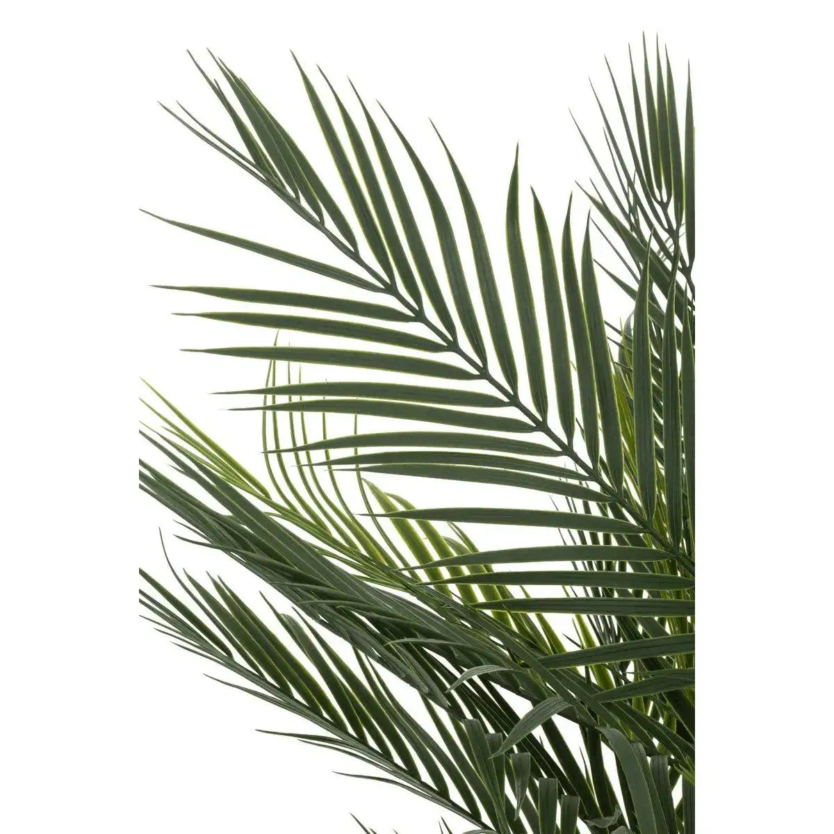 Künstliche Palme im Topf - HomeDesign Knaus