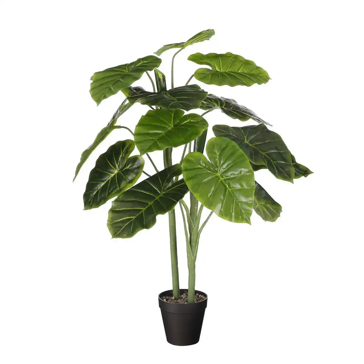 Künstliche Pflanze Alocasia im Blumentopf – H100 x Ø50 cm – Grün - HomeDesign Knaus