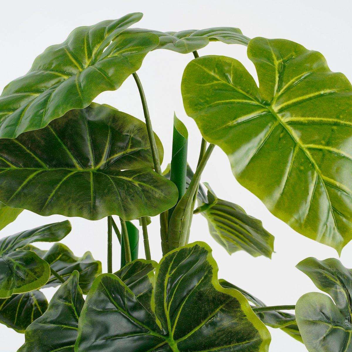 Künstliche Pflanze Alocasia im Blumentopf – H100 x Ø50 cm – Grün - HomeDesign Knaus