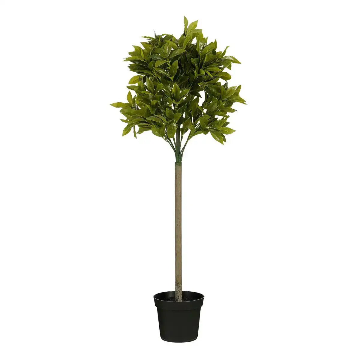 Künstliche Pflanze Laurelbaum - H120 x Ø40 cm - Grün - HomeDesign Knaus