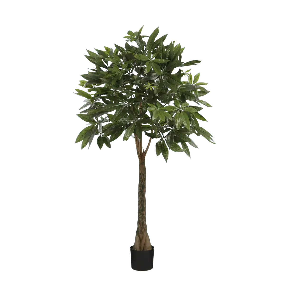 Künstliche Pflanze Pachira – H120 x Ø50 cm – Grün - HomeDesign Knaus