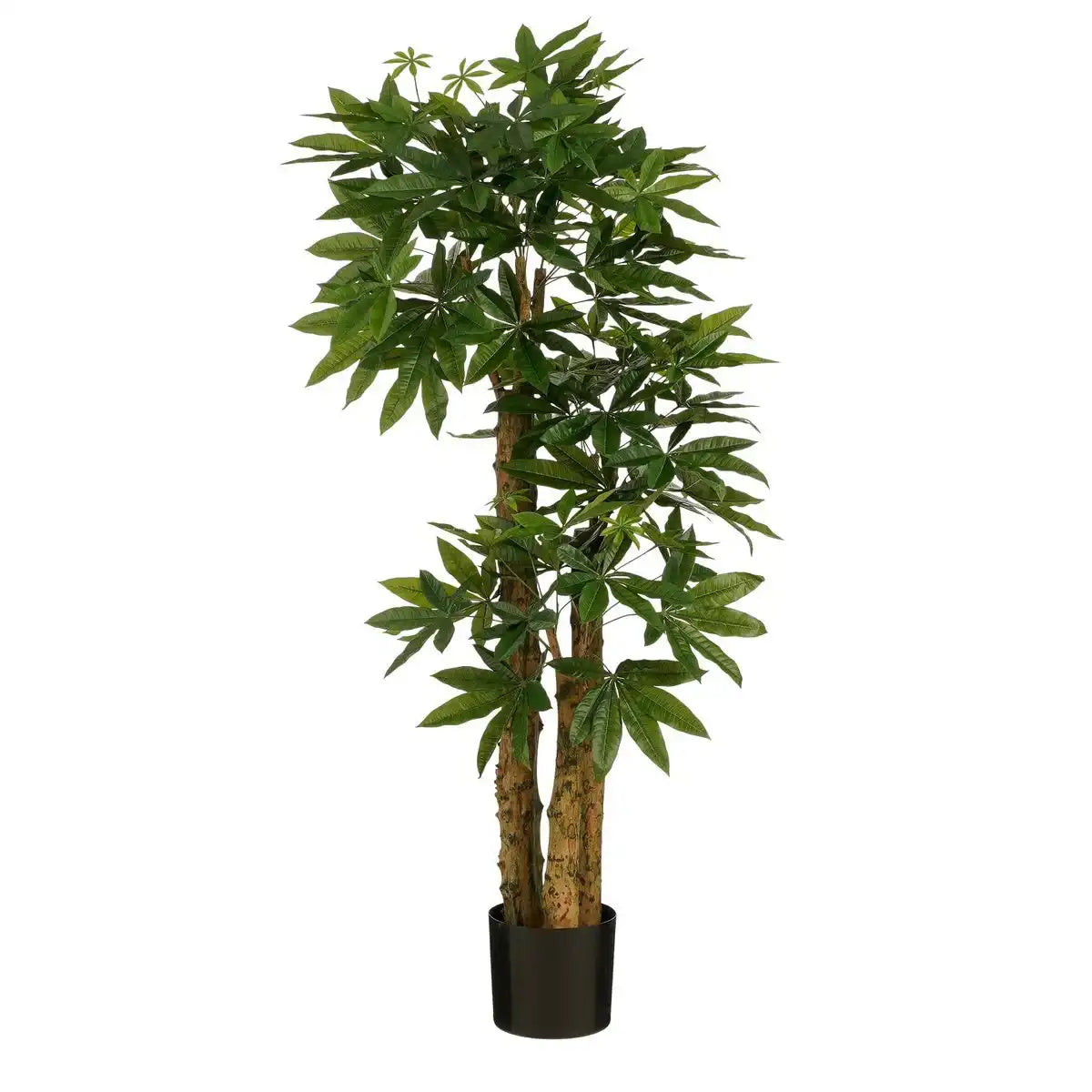 Künstliche Pflanze Pachira – H175 x Ø85 cm – Grün - HomeDesign Knaus