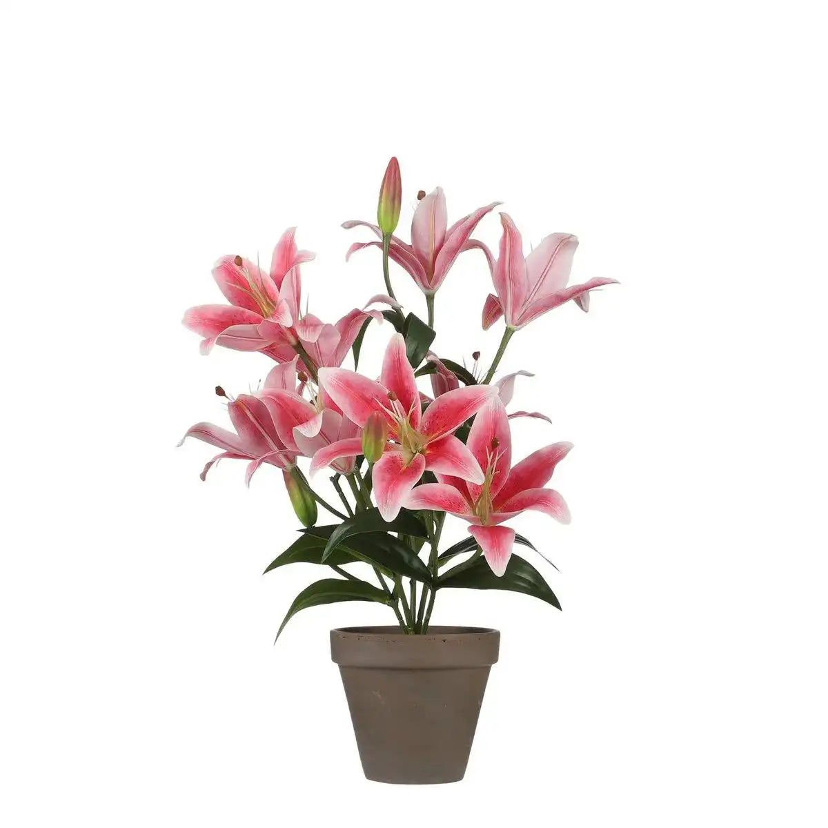 Künstliche Tigerlilie im Blumentopf Stan – H47 x Ø45 cm – Fuchsia - HomeDesign Knaus