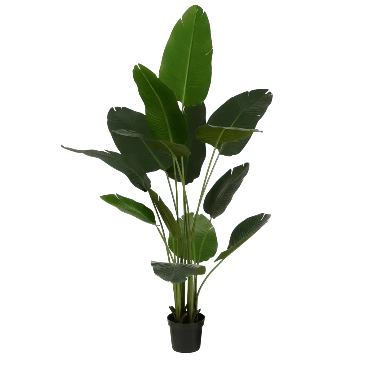 Künstlicher Bananenbaum im Topf – H180 x Ø30 cm – Grün - HomeDesign Knaus