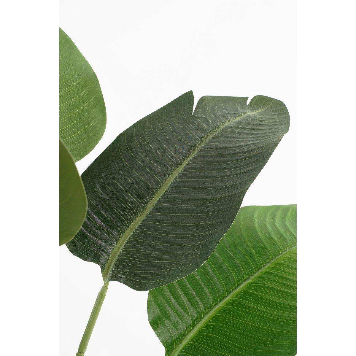 Künstlicher Bananenbaum im Topf – H180 x Ø30 cm – Grün - HomeDesign Knaus