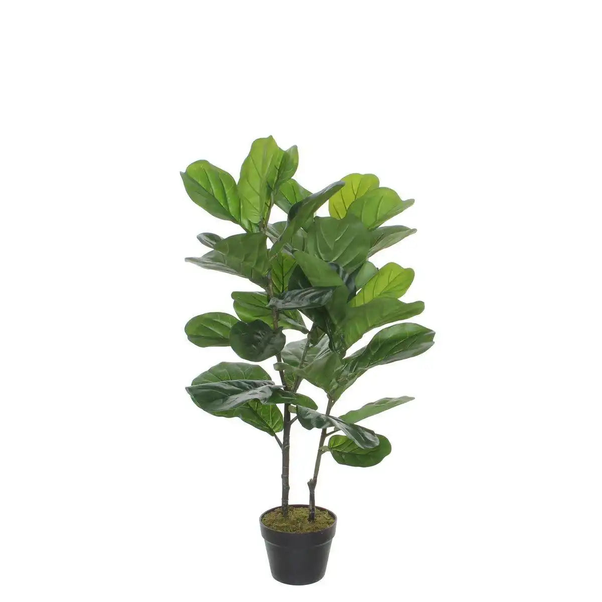 Kunstpflanze Ficus Lyrata - H100 x Ø60 cm - Grün - HomeDesign Knaus