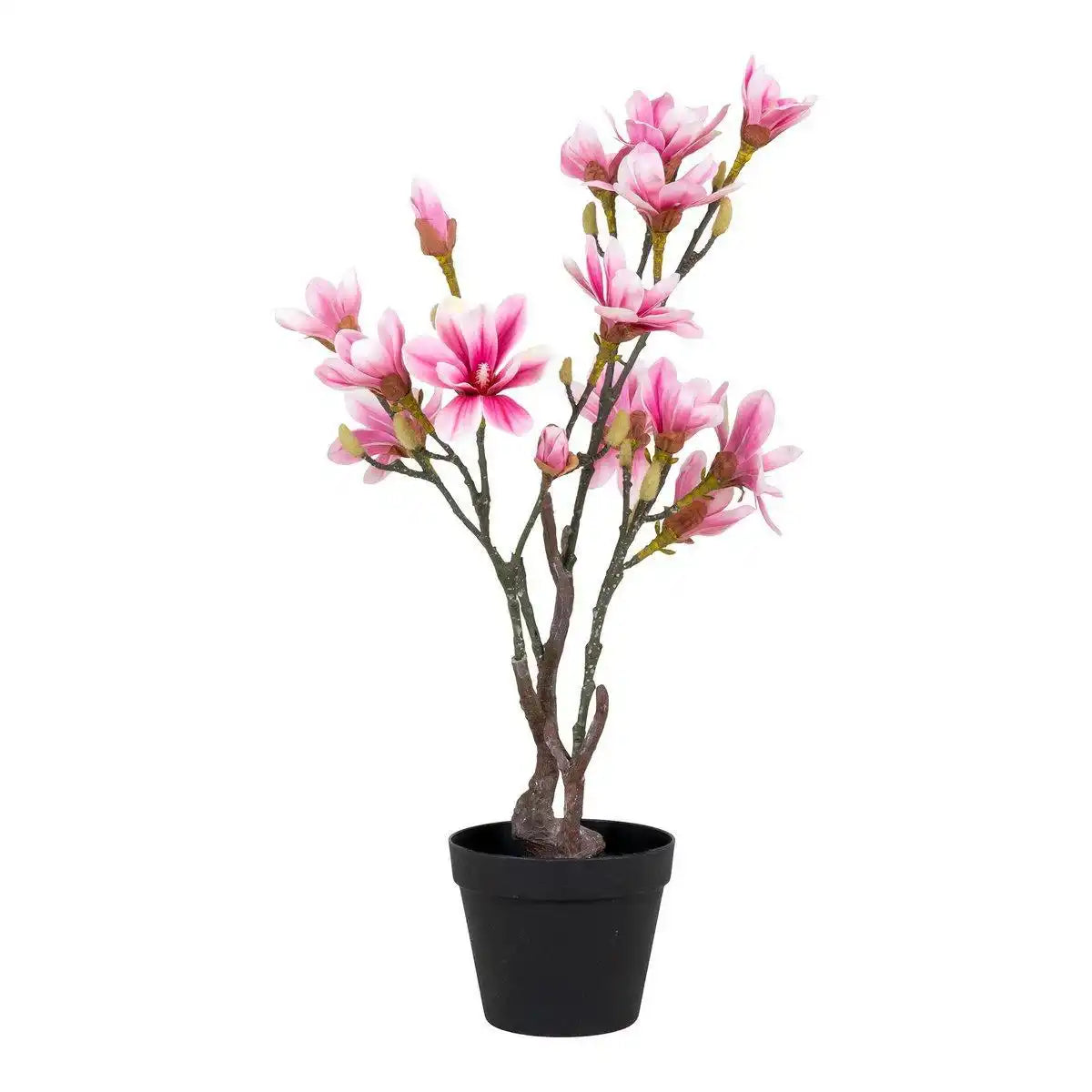 Magnolienbaum - Grün, Rosa - HomeDesign Knaus
