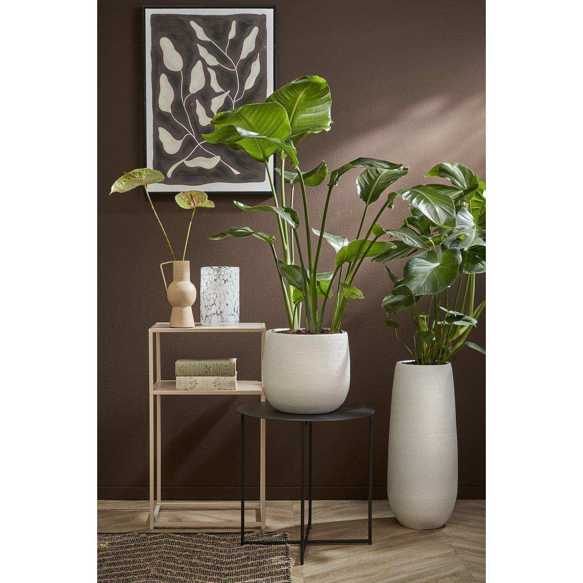 Mikki Beistelltisch - H45 x Ø45 cm - Schwarz - HomeDesign Knaus