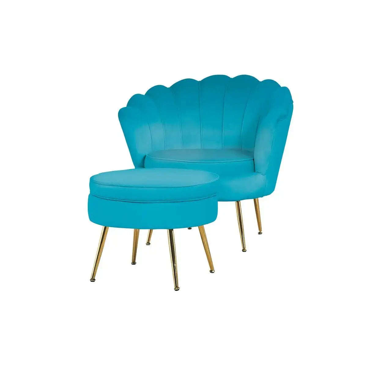 Muschelsessel aus Samt Blau - HomeDesign Knaus