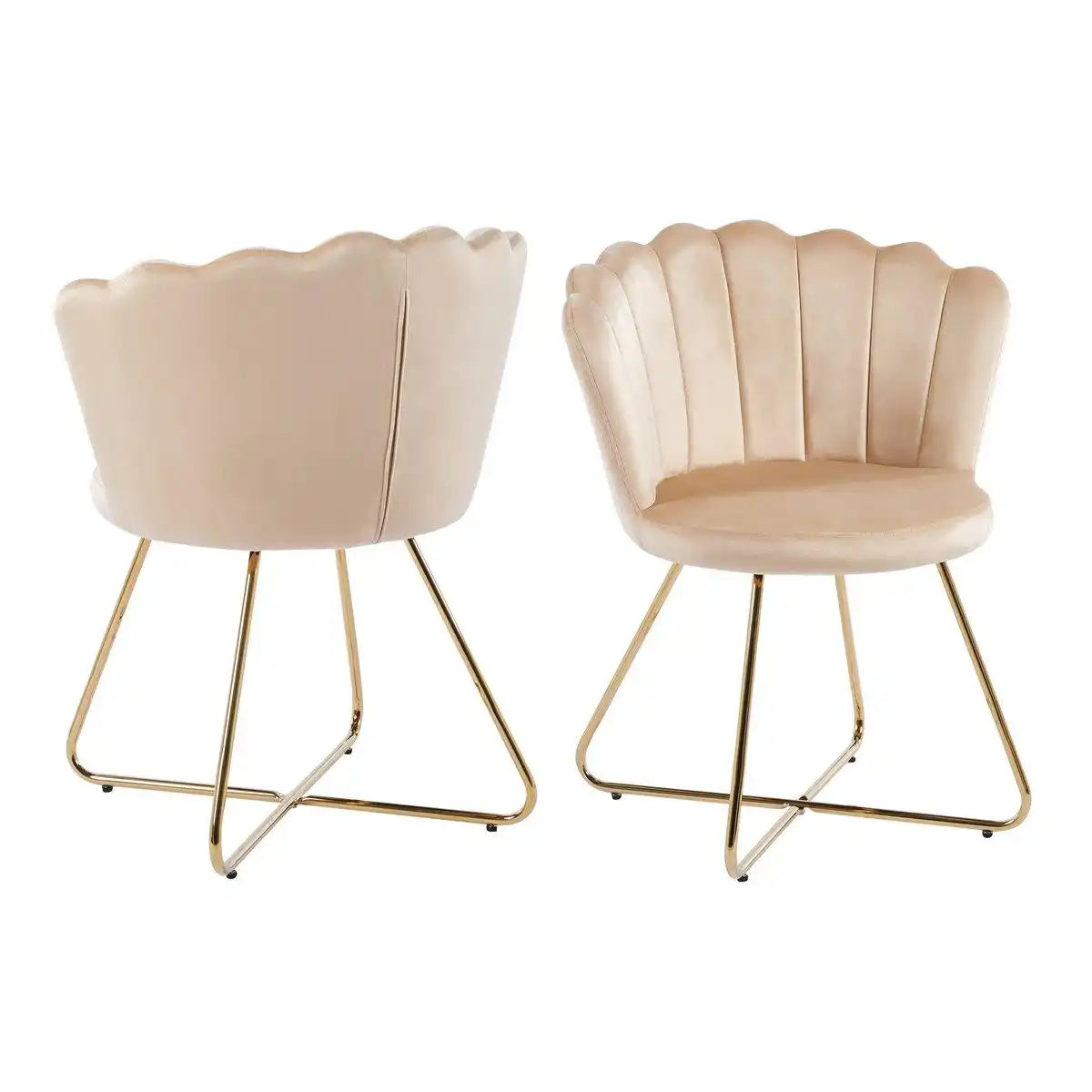 Muschelstuhl aus Samt 2er Set Beige - HomeDesign Knaus