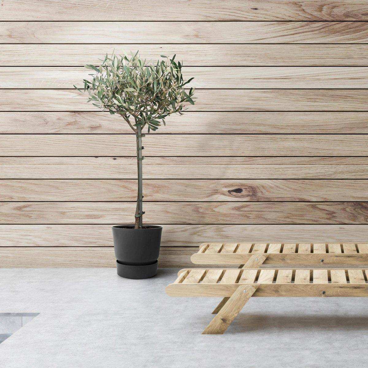 Olea auf Stiel - Olive - Ø19cm - ↕90cm - HomeDesign Knaus