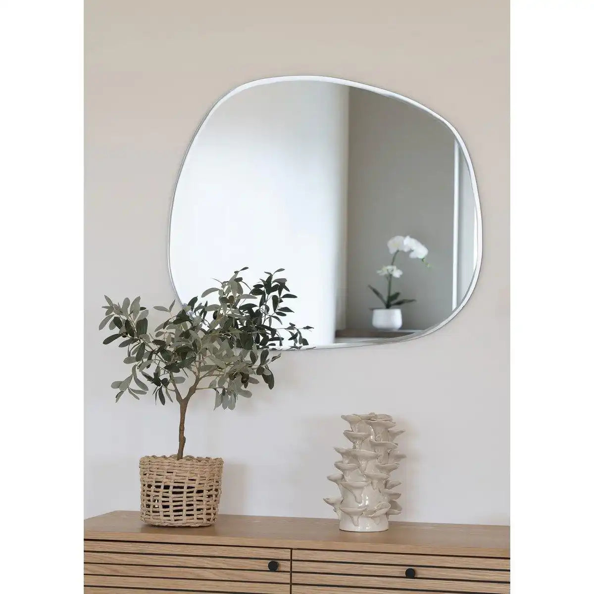 Olivenbaum - HomeDesign Knaus