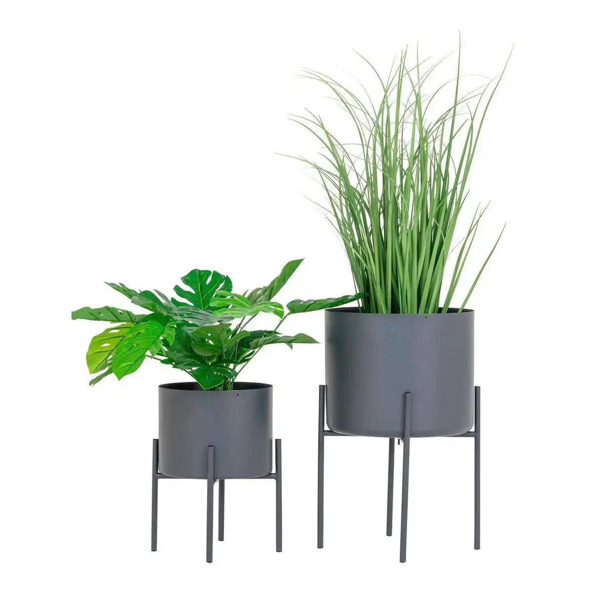Pavia Blumentöpfe - HomeDesign Knaus