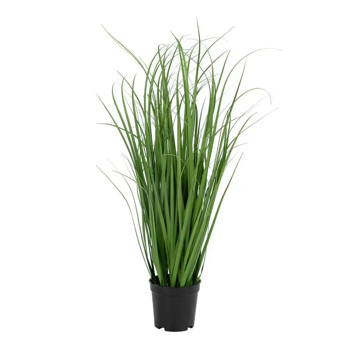Poa-Gras - HomeDesign Knaus