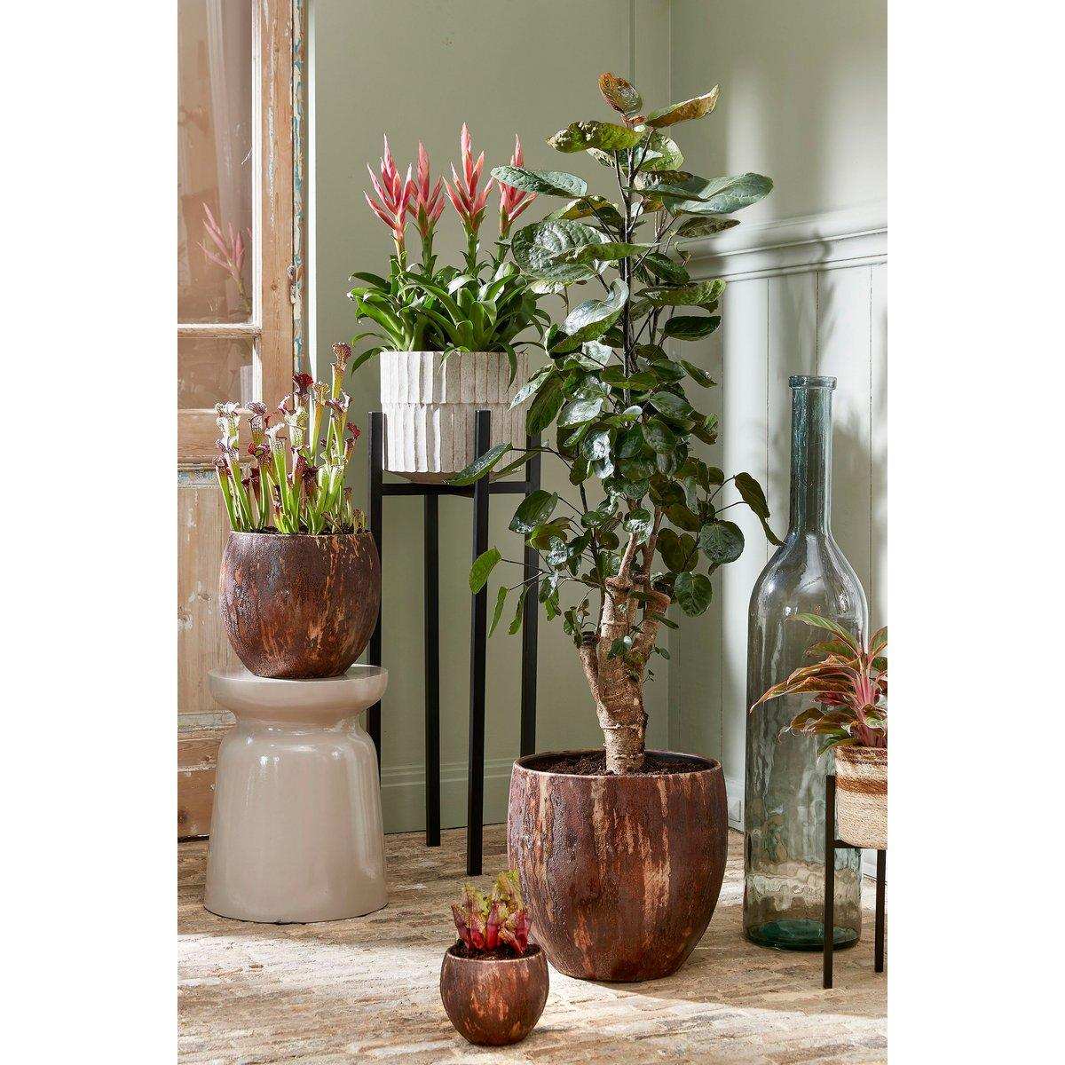 Rioja Flaschenvase - H100 x Ø21 cm - Recyceltes Glas - Transparent - HomeDesign Knaus