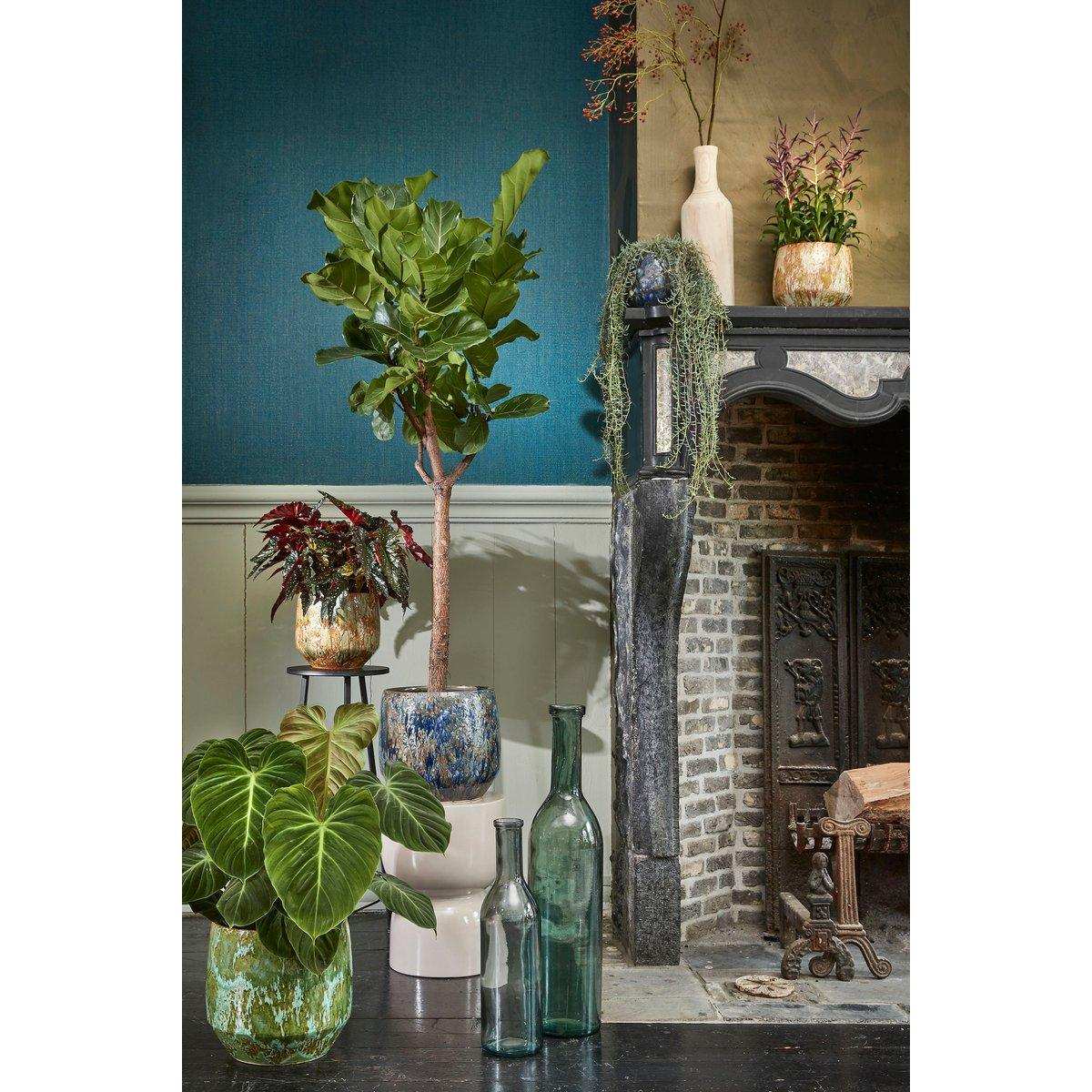 Rioja-Flaschenvase – H75 x Ø18 cm – recyceltes Glas – Grün - HomeDesign Knaus