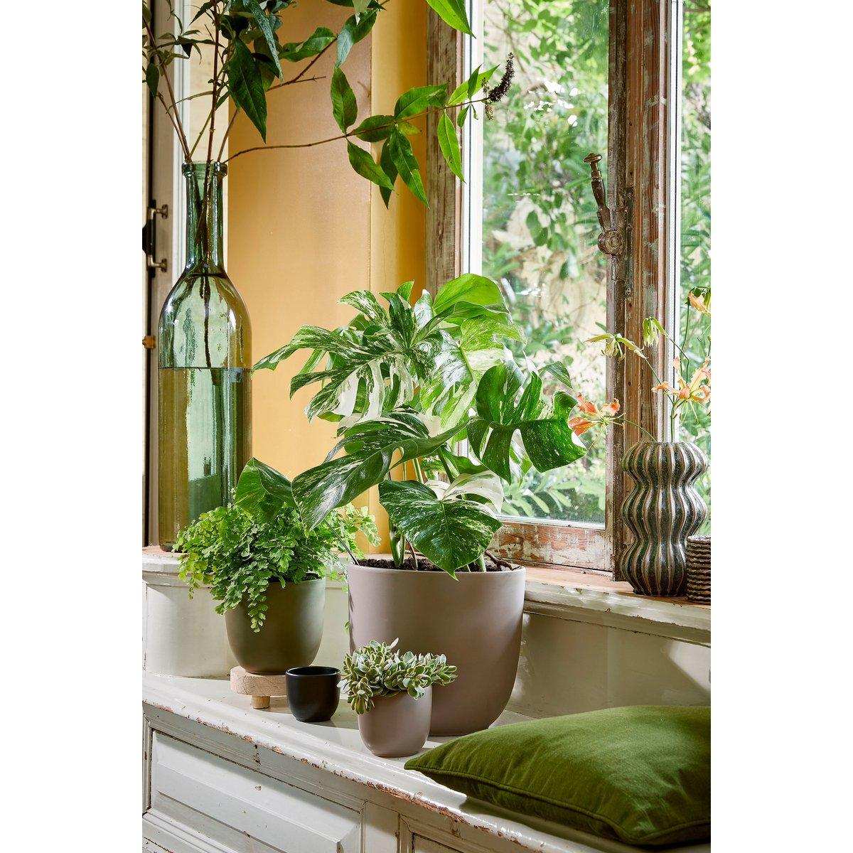 Rioja-Flaschenvase – H75 x Ø18 cm – recyceltes Glas – Grün - HomeDesign Knaus