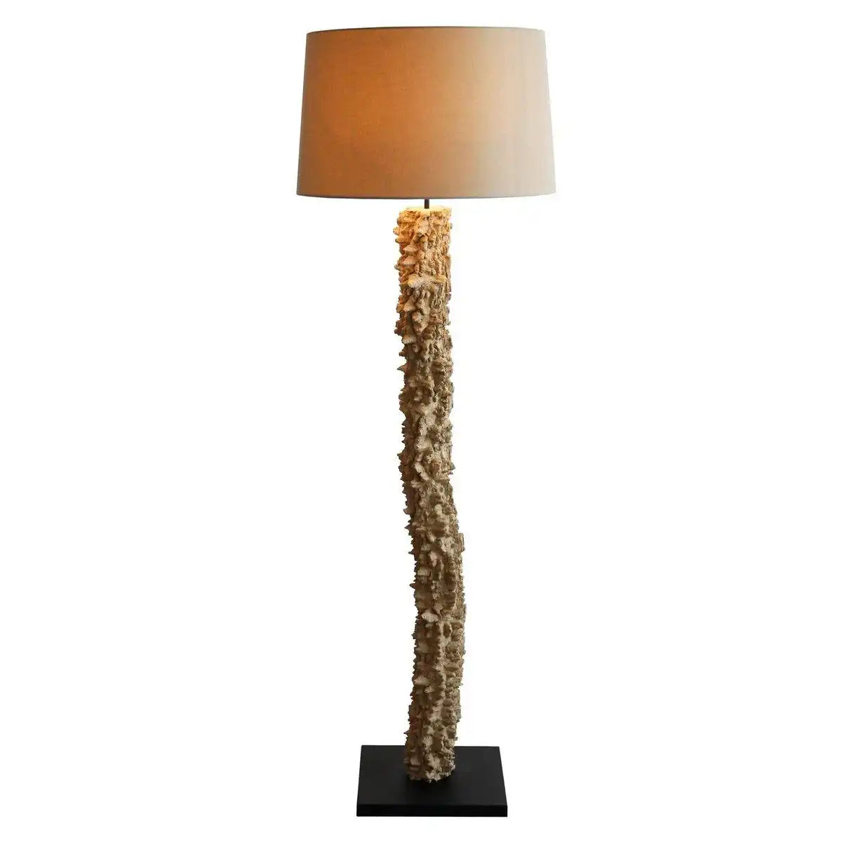 Stehleuchte Treibholz Natur/Weiß 150 cm - HomeDesign Knaus