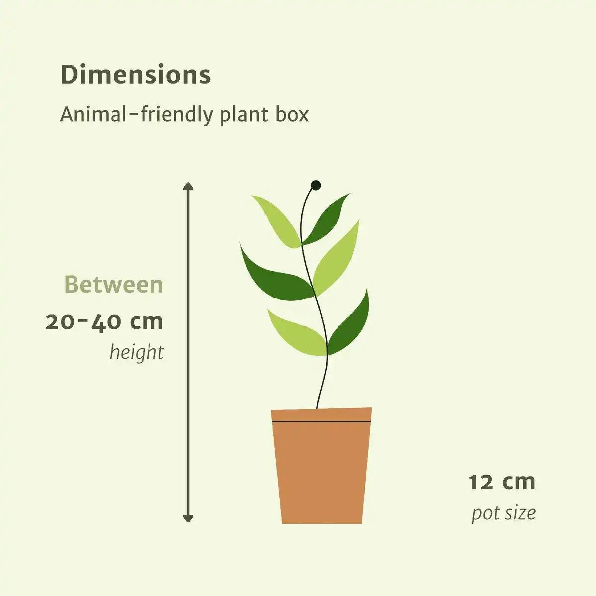 Tierfreundlicher Pflanzenkasten - 4 Zimmerpflanzen - Ø12cm - Verschiedene Höhen - HomeDesign Knaus
