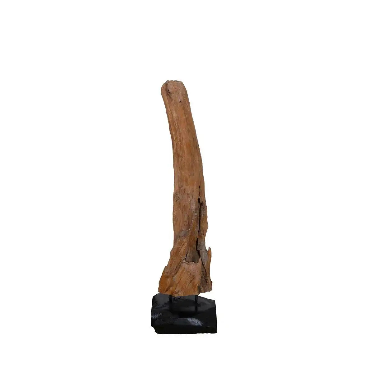 Treibholzskulptur - HomeDesign Knaus