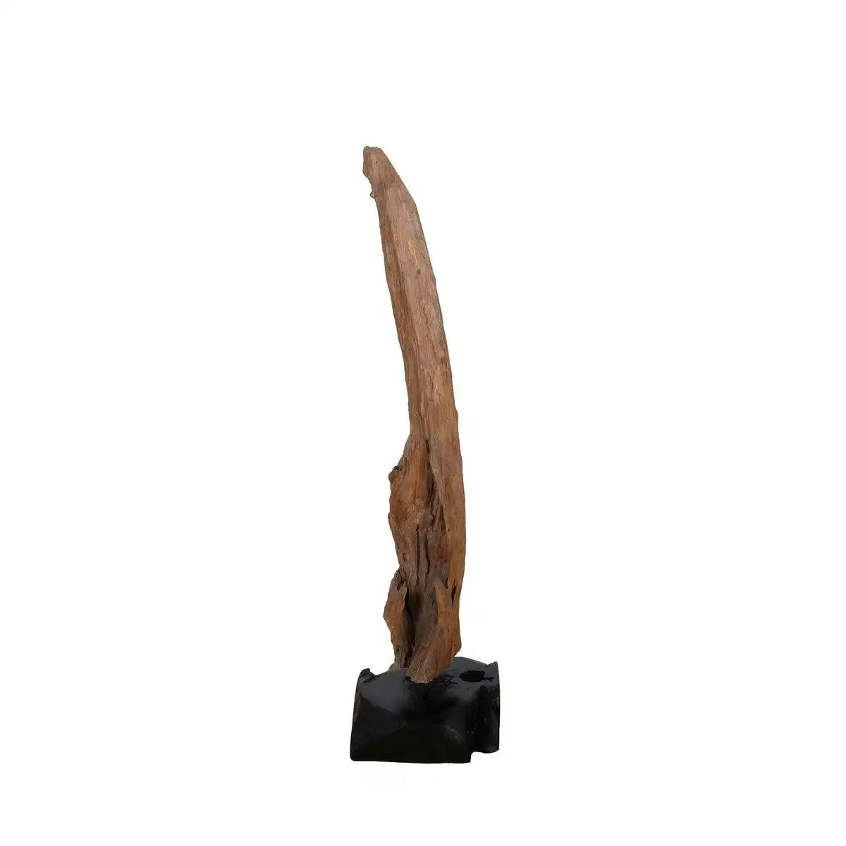 Treibholzskulptur - HomeDesign Knaus