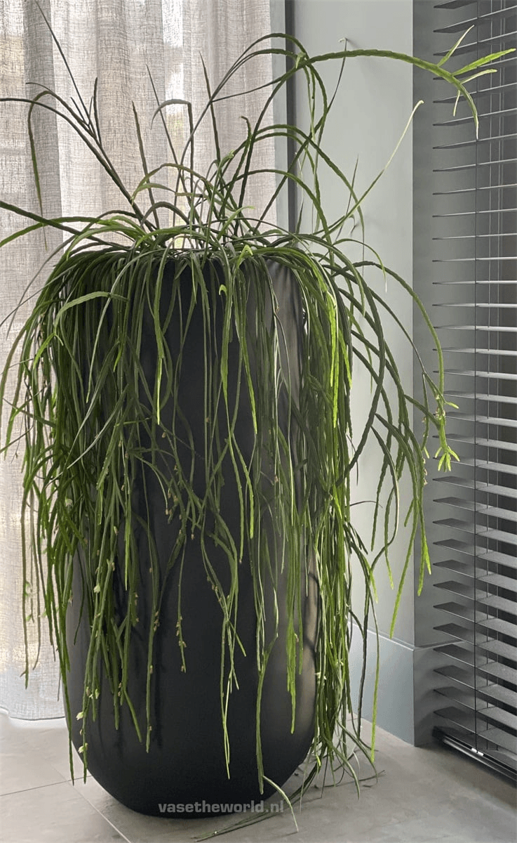 Designer Blumenkübel Innenbereich - Außenbereich UV- & frostbeständig Pflanzentopf Handarbeit schwarz - HomeDesign Knaus