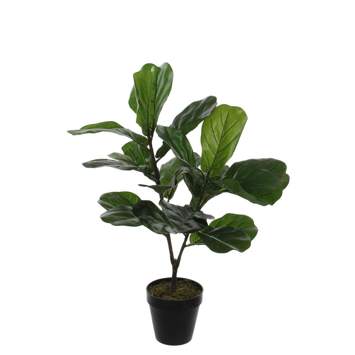 Künstliche Pflanze Ficus Lyrata – H75 x Ø60 cm – Grün - HomeDesign Knaus