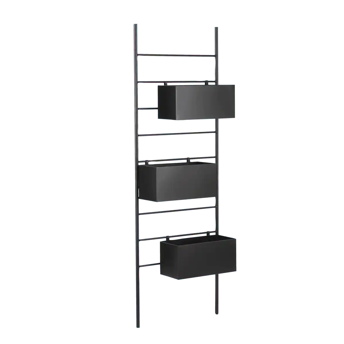 Dani Pflanzenregal – L54 x B20 x H160 cm – Metall – Schwarz - HomeDesign Knaus
