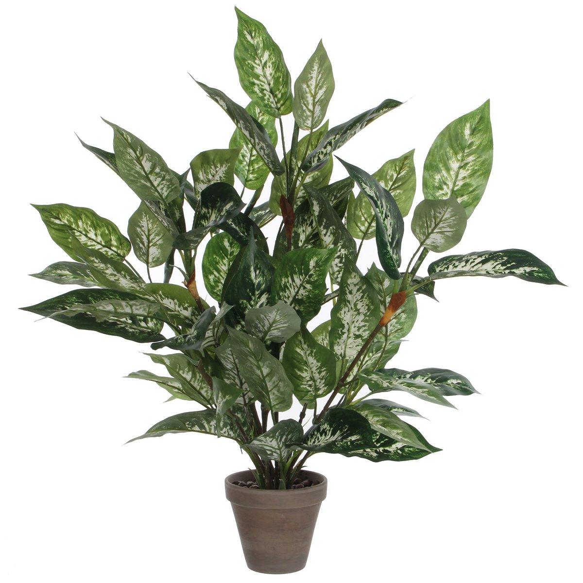 Dieffenbachia Künstliche Pflanze im Blumentopf Stan – H70 x Ø55 cm – Grün - HomeDesign Knaus