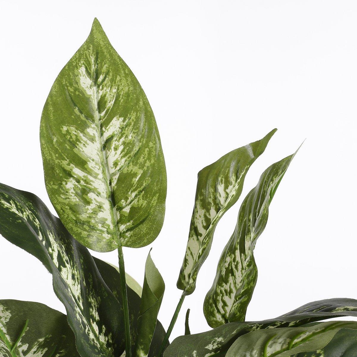 Dieffenbachia Künstliche Pflanze im Blumentopf Stan – H70 x Ø55 cm – Grün - HomeDesign Knaus