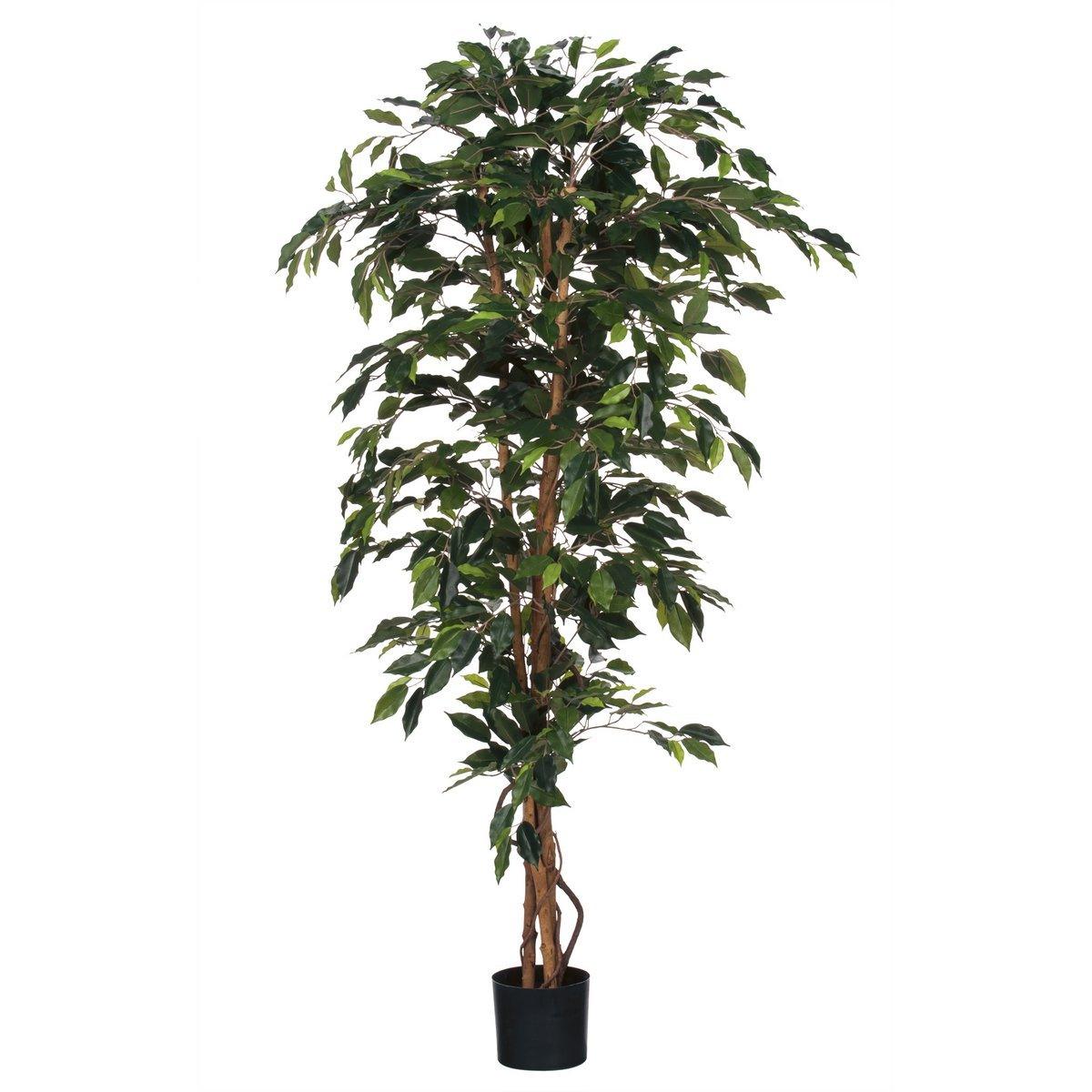 Ficus Kunstpflanze - H180 x Ø100 cm - grün - HomeDesign Knaus