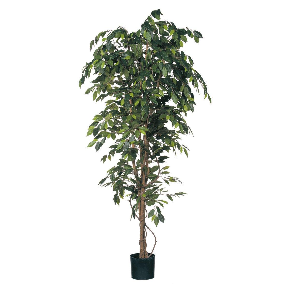 Ficus Kunstpflanze - H210 x Ø100 cm - grün - HomeDesign Knaus