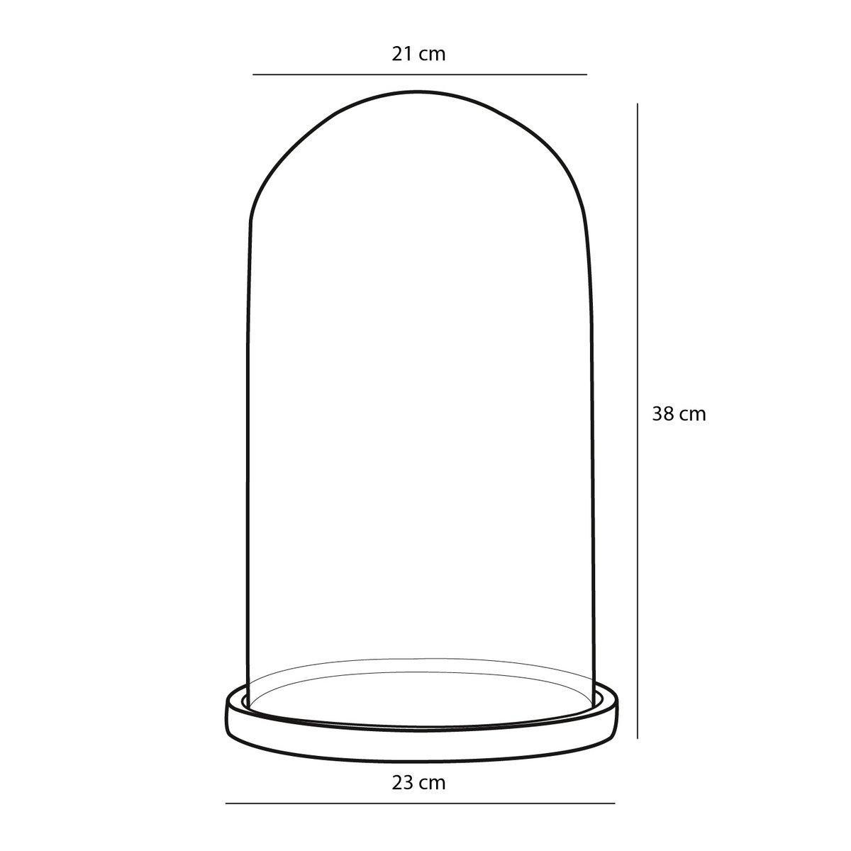 Hella Glasglocke – H38 x Ø23 cm – Transparent, Hellbraun - HomeDesign Knaus