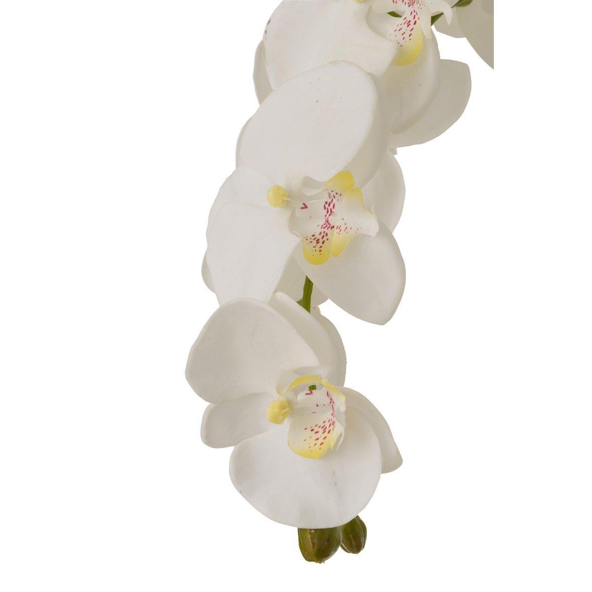 J-Line Orchidee in Erde, Kunststoff, Weiß/Grün, extra groß - HomeDesign Knaus