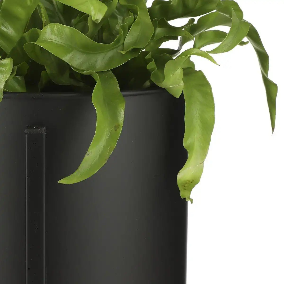 Jessy Blumentopf auf Ständer – 2er-Set – H79 x Ø28 cm – Metall – Schwarz - HomeDesign Knaus