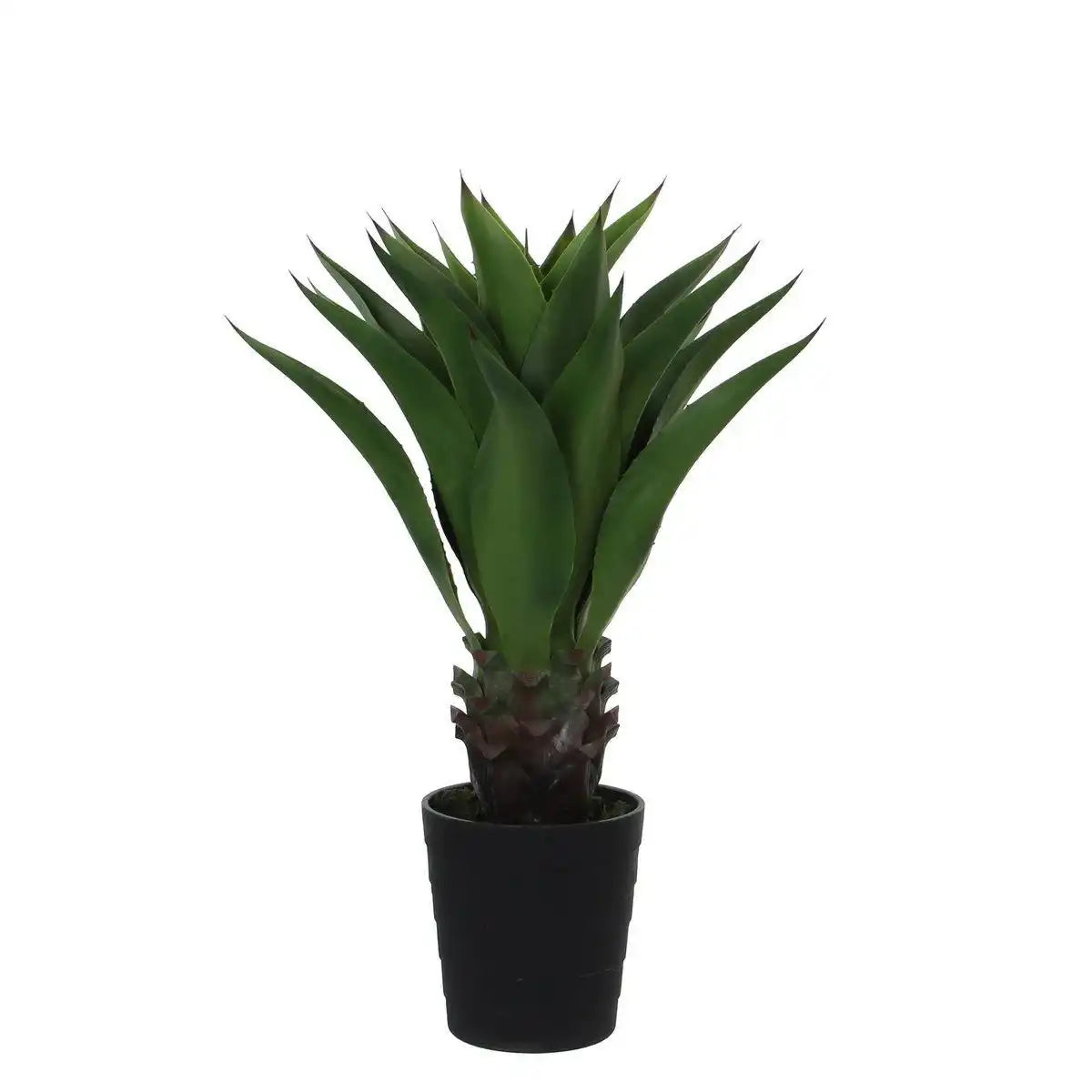Künstliche Agavenpflanze – H80 x Ø80 cm – Grün - HomeDesign Knaus
