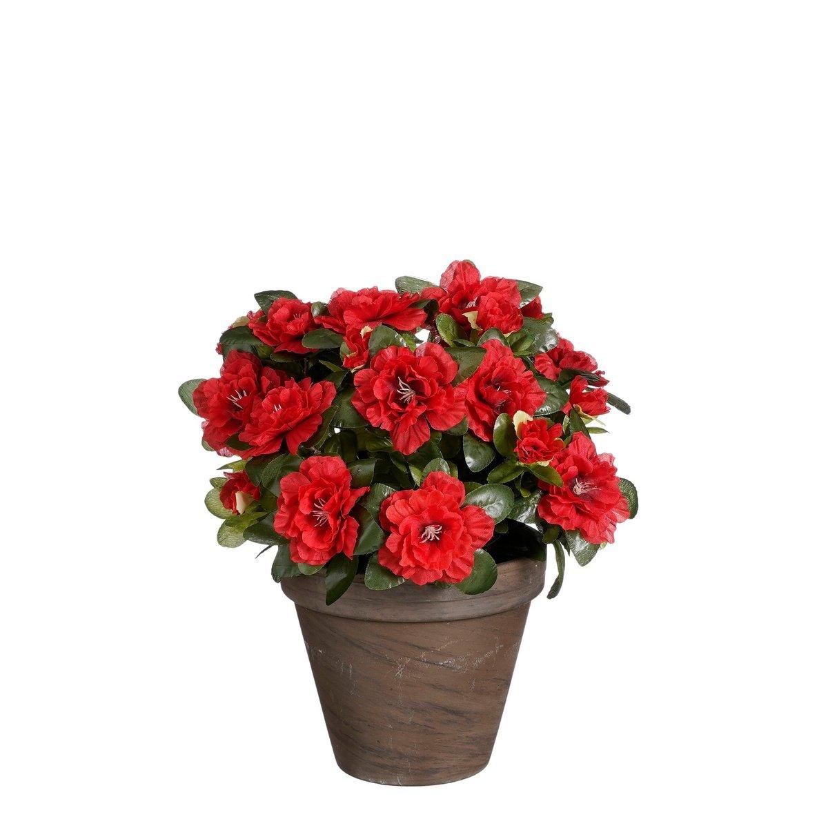 Künstliche Azaleenpflanze im Blumentopf Stan – H31 x Ø26 cm – Rot - HomeDesign Knaus