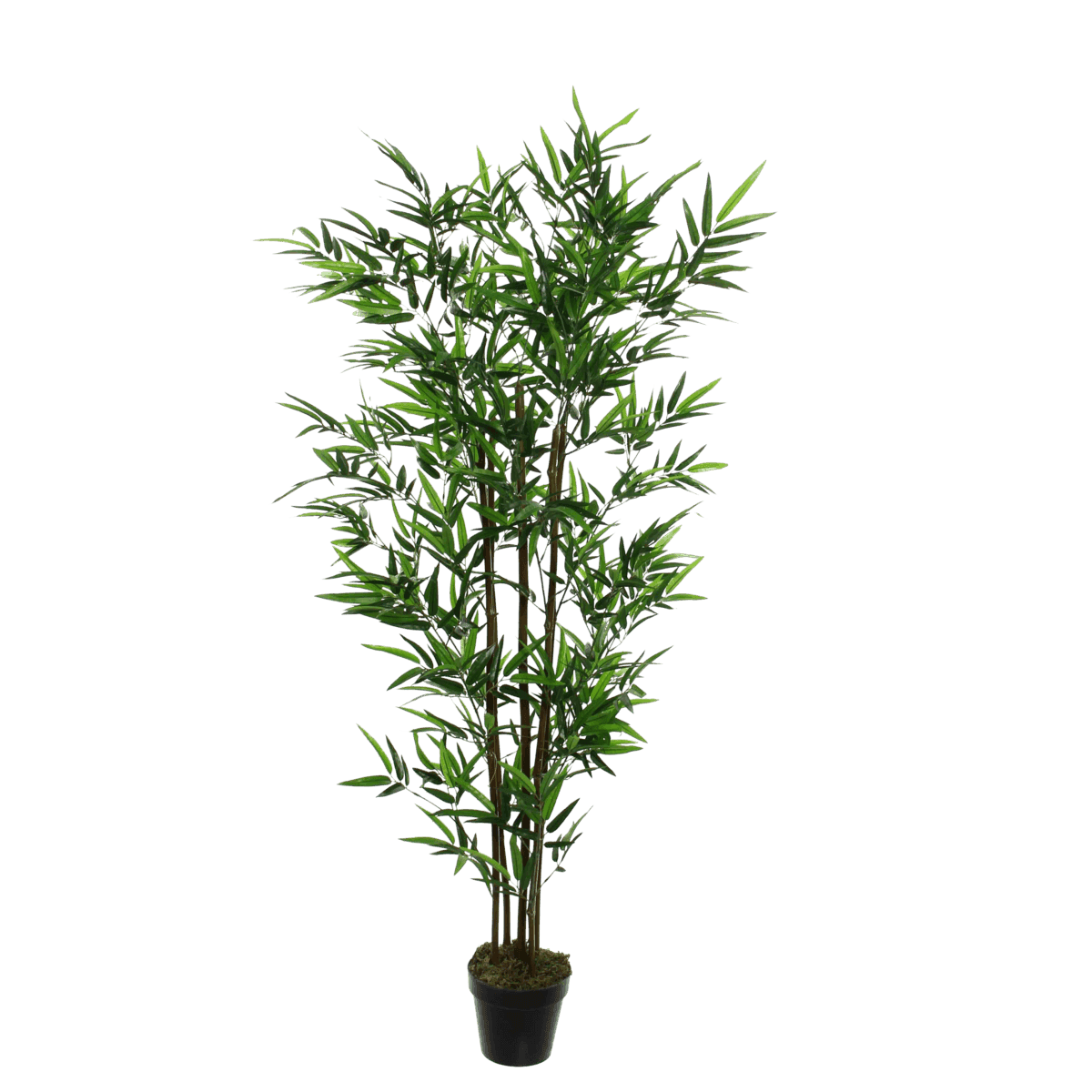 Künstliche Bambuspflanze – H155 x Ø90 cm – Grün - HomeDesign Knaus