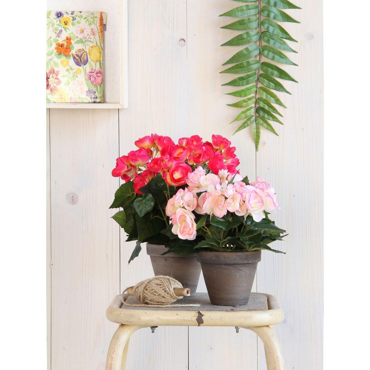 Künstliche Begonienpflanze im Blumentopf Stan – H30 x Ø25 cm – Dunkelrosa - HomeDesign Knaus