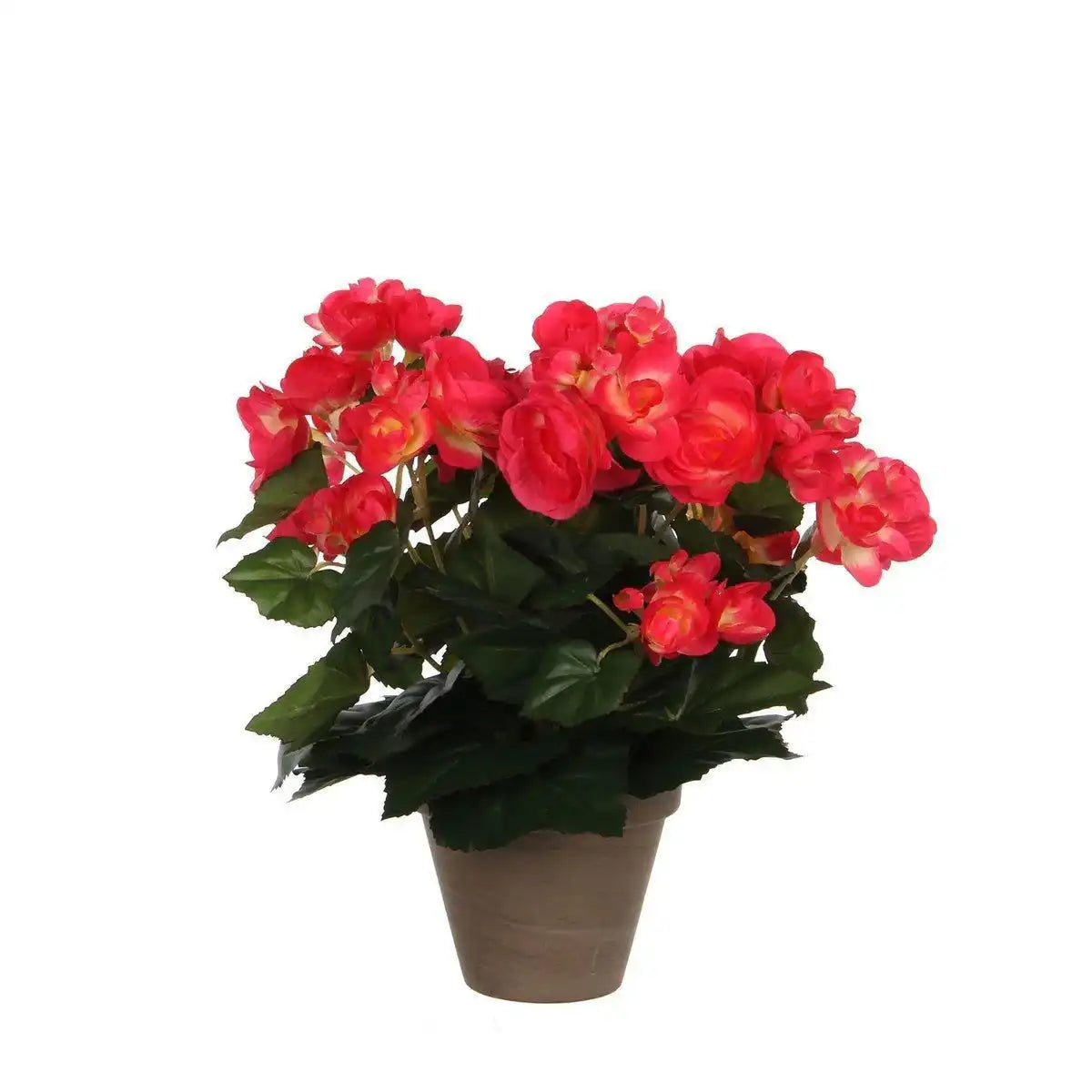 Künstliche Begonienpflanze im Blumentopf Stan – H30 x Ø25 cm – Dunkelrosa - HomeDesign Knaus
