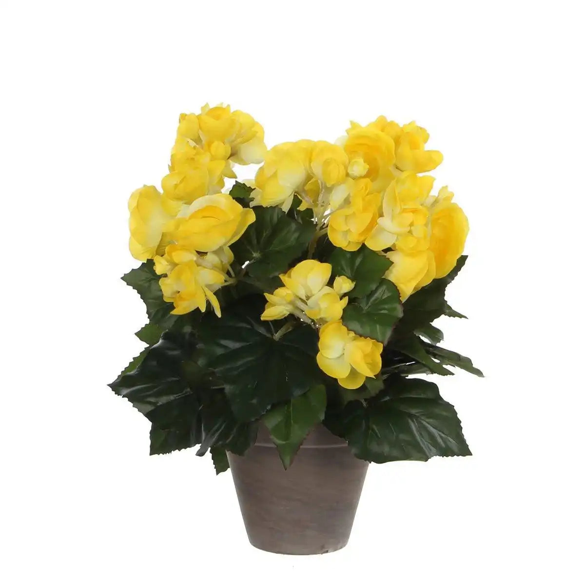 Künstliche Begonienpflanze im Blumentopf Stan – H30 x Ø25 cm – Gelb - HomeDesign Knaus