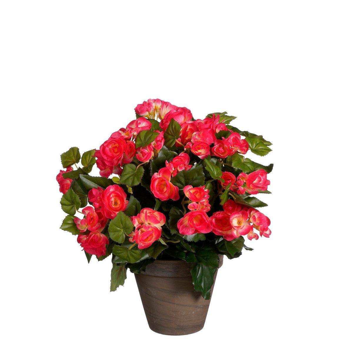 Künstliche Begonienpflanze im Blumentopf Stan – H37 x Ø36 cm – Dunkelrosa - HomeDesign Knaus
