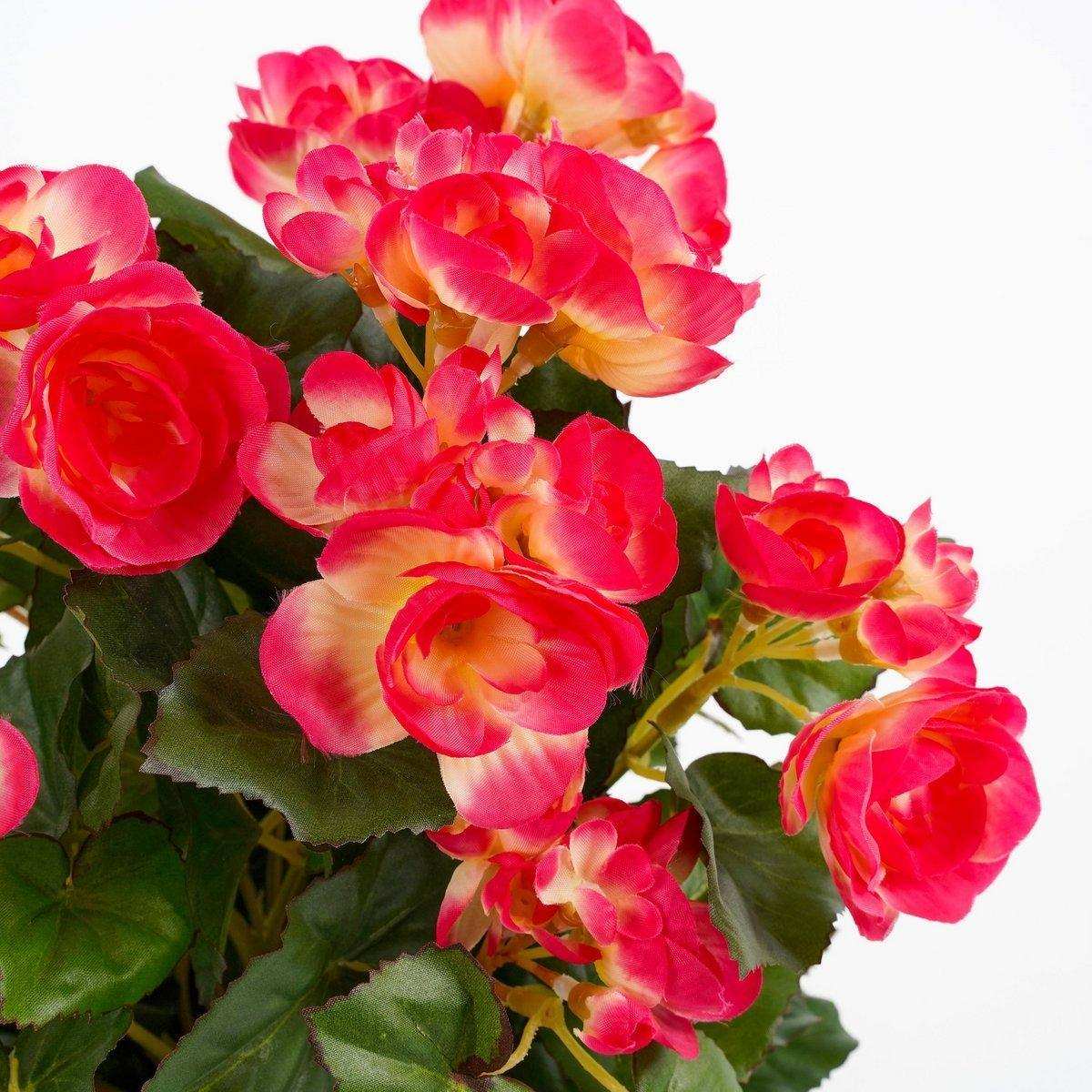 Künstliche Begonienpflanze im Blumentopf Stan – H37 x Ø36 cm – Dunkelrosa - HomeDesign Knaus