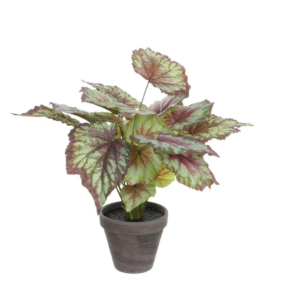 Künstliche Begonienpflanze im Blumentopf Stan – H40 x Ø38 cm – Rot - HomeDesign Knaus