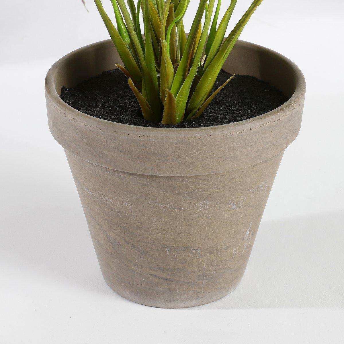 Künstliche Begonienpflanze im Blumentopf Stan – H40 x Ø38 cm – Rot - HomeDesign Knaus
