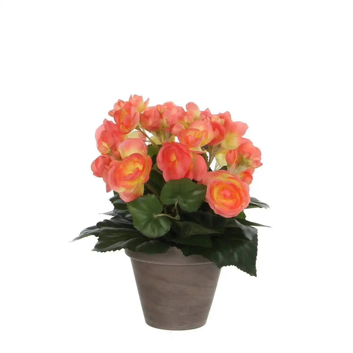 Künstliche Begonienpflanze im Stan-Blumentopf – H30 x Ø25 cm – Lachsrosa - HomeDesign Knaus