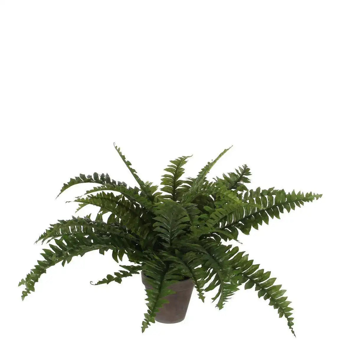 Künstliche Boston-Farnpflanze im Blumentopf Stan – H42 x Ø50 cm – Grün - HomeDesign Knaus